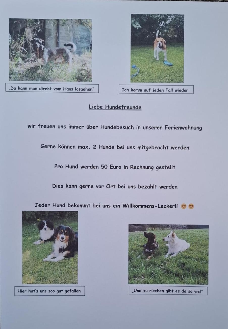 Ferienwohnung Abendrot Assling 外观 照片